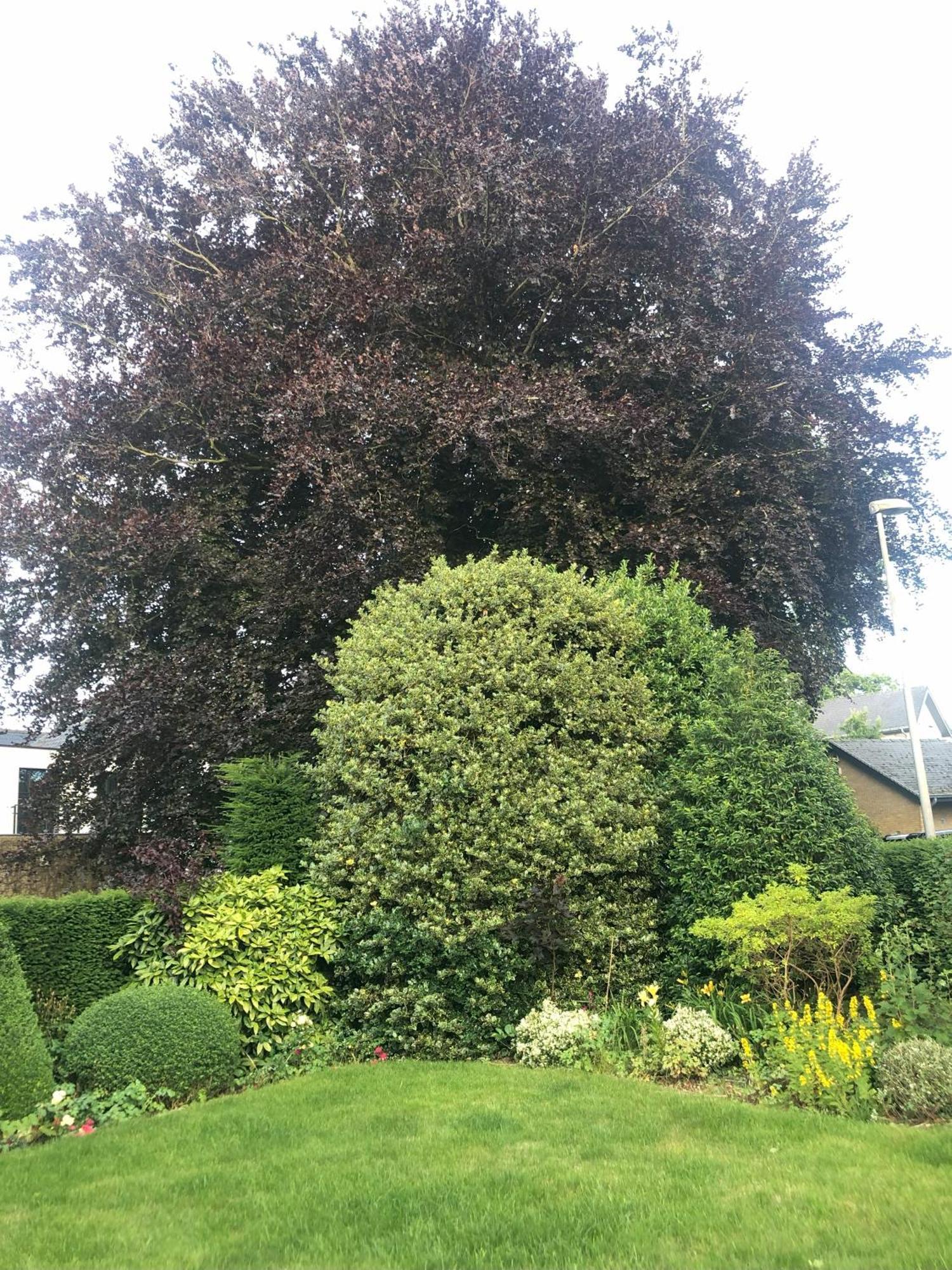 Bed and Breakfast Cedrus Jabbeke  Exterior foto