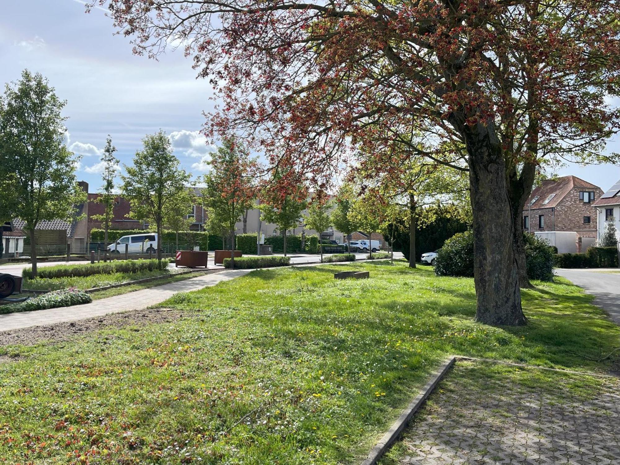 Bed and Breakfast Cedrus Jabbeke  Exterior foto