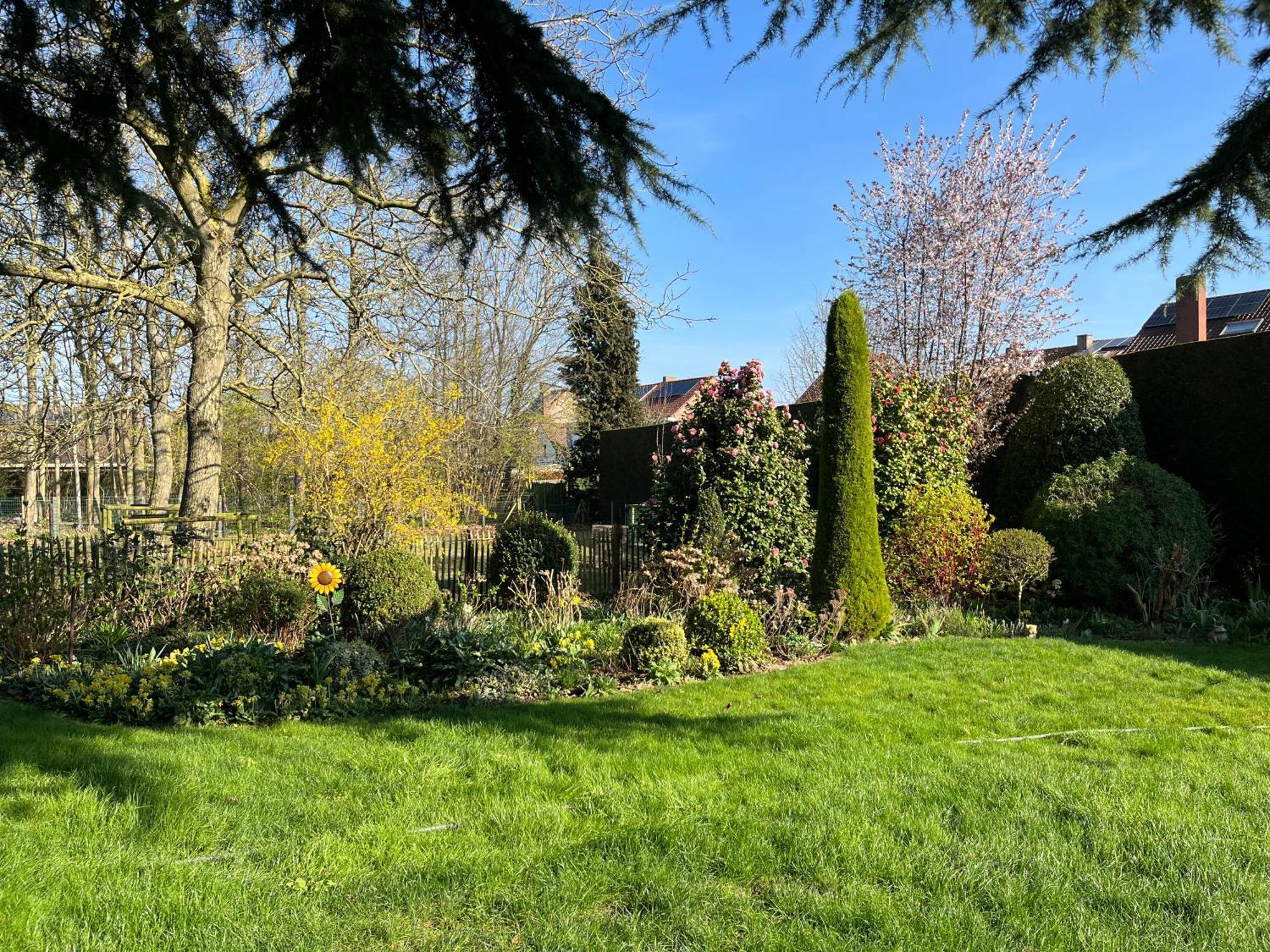 Bed and Breakfast Cedrus Jabbeke  Exterior foto