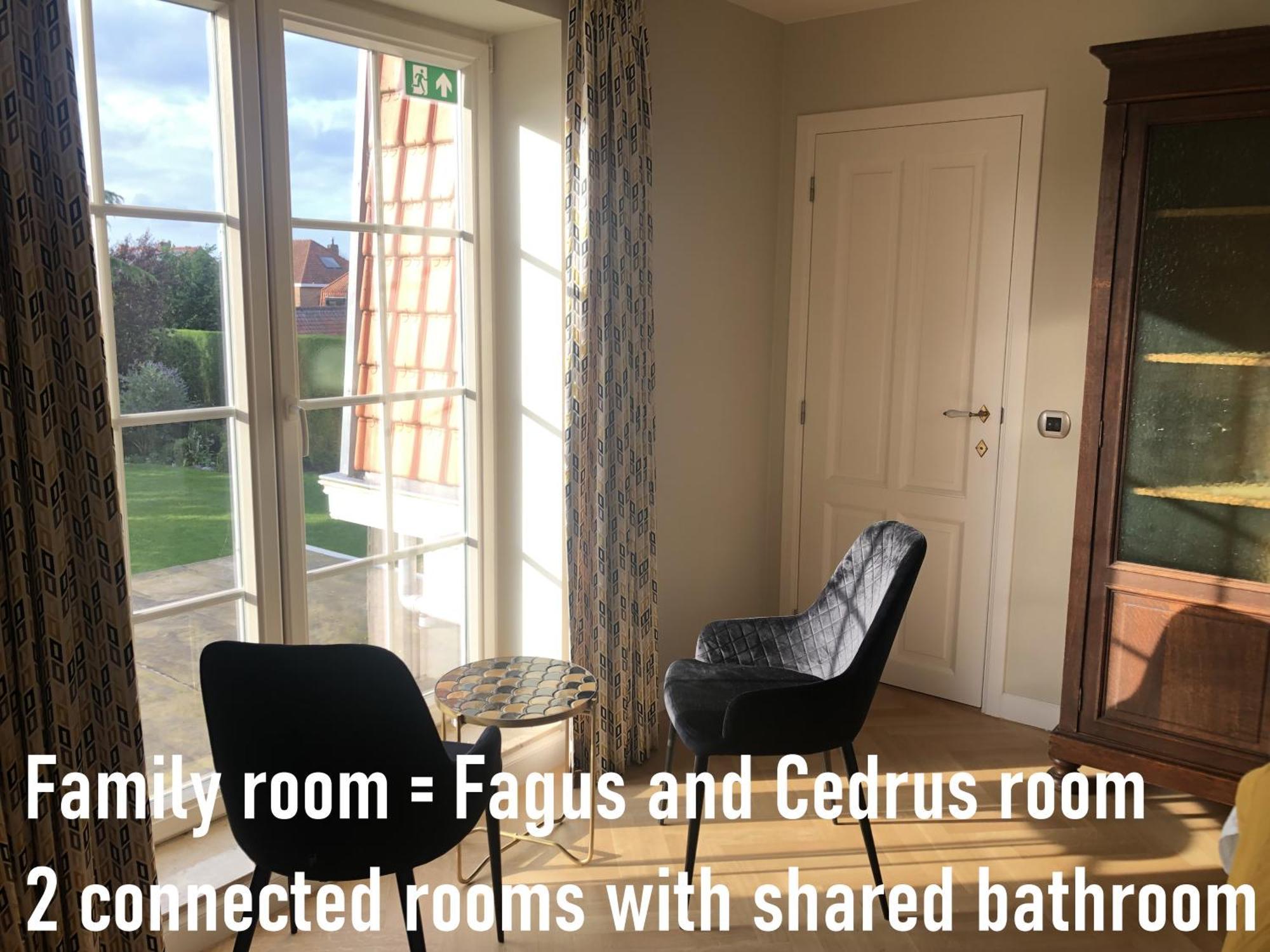 Bed and Breakfast Cedrus Jabbeke  Exterior foto